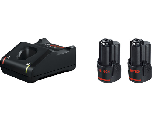 Chargeur Bosch avec deux batteries