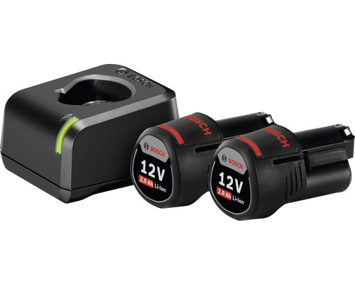 Chargeur de batterie Bosch avec deux batteries 12 volts