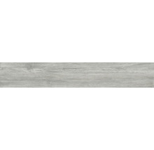 Feinsteinzeug Wand- und Bodenfliese Count grey 26 x 160 R10 B