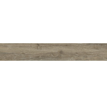 Feinsteinzeug Wand- und Bodenfliese Count Henna 26 x 160 R10 B