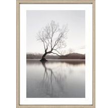 Gerahmtes Bild eines Baumes im Wasser