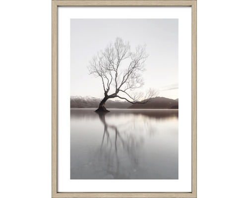 Gerahmtes Bild Tree in a lake II 54x74 cm Gerahmtes Bild eines Baumes im Wasser