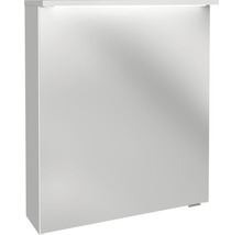 Spiegelschrank FACKELMANN Oxford 60.2 x 20 x 69.6 cm weiß 1-türig LED IP 20