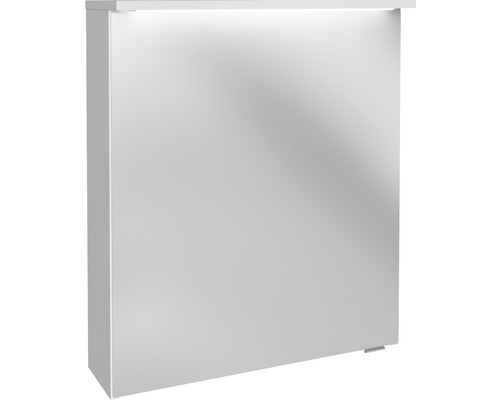 Armoire de toilette FACKELMANN Oxford 60.2 x 20 x 69.6 cm blanc 1 porte led IP 20