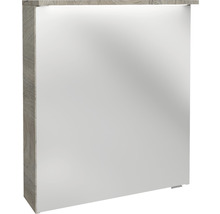 Spiegelschrank FACKELMANN Oxford 60.2 x 20 x 69.6 cm eiche natur 1-türig LED IP 20