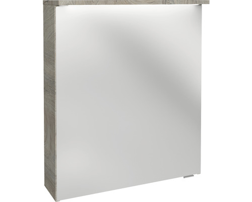 Armoire de toilette FACKELMANN Oxford 60.2 x 20 x 69.6 cm chêne nature 1 porte led IP 20