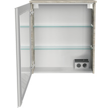 Spiegelschrank FACKELMANN Oxford 60.2 x 20 x 69.6 cm eiche natur 1-türig LED IP 20