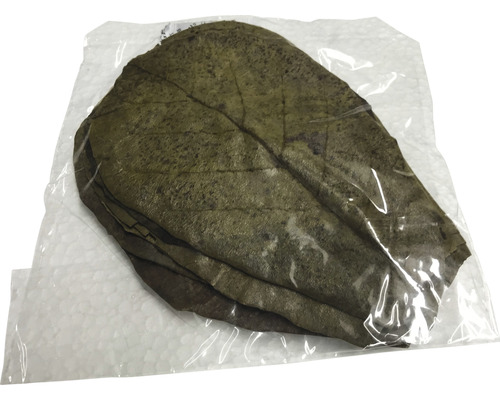 Feuilles de badamier en emballage