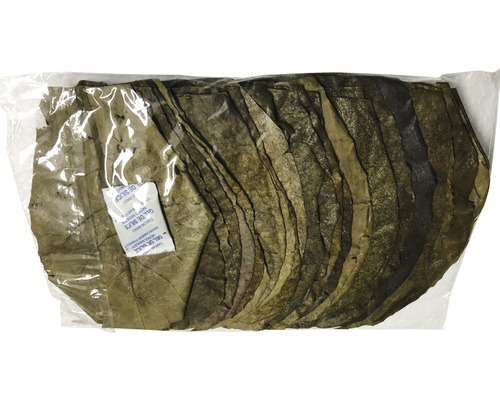 Emballage de feuilles de badamier