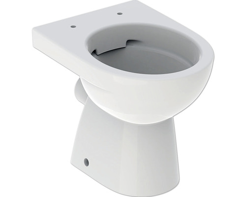 WC à poser GEBERIT Renova cuvette à fond creux sans bride de rinçage blanc KeraTect® laque spéciale sans abattant WC 500480018