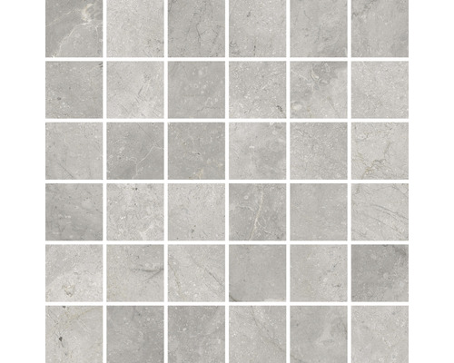 Feinsteinzeugmosaik Lido silver poliert 29,7 x 29,7 cm Mosaikfliese aus Naturstein