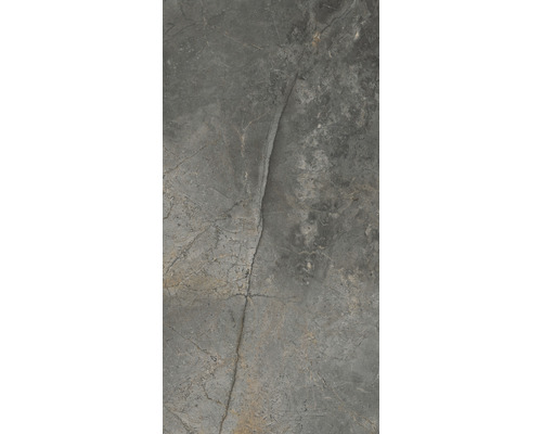 Graue Feinsteinzeugfliese mit Marmoroptik
