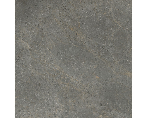 Graue Steinzeugfliese mit Marmorstruktur