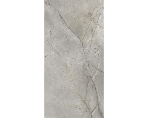 Carrelage sol et mur en grès cérame fin Lido 119,7 x 59,7 cm silver poli