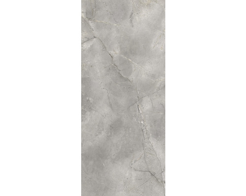 Graue Feinsteinzeugfliese mit Marmoroptik