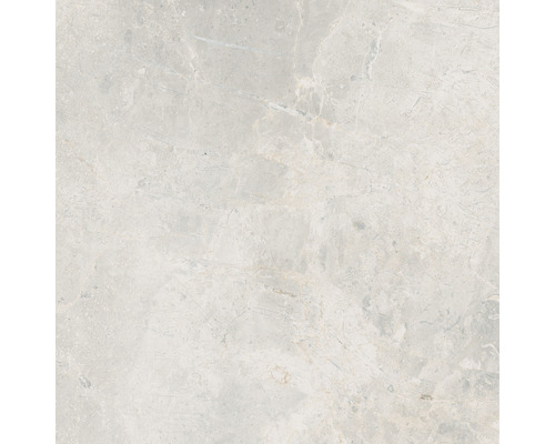 Carrelage sol et mur en grès cérame fin Lido 59,7 x 59,7 cm white poli Carrelage sol et mur en grès cérame fin Lido 59,7 x 59,7 cm white poli