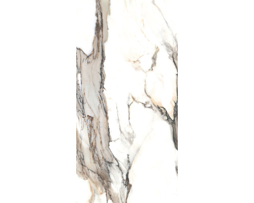 Carreau de marbre avec veinures