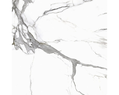 Feinsteinzeug Wand- und Bodenfliese Calacatta 119,7 x 119,7 x 0,6 cm white poliert rektifiziert