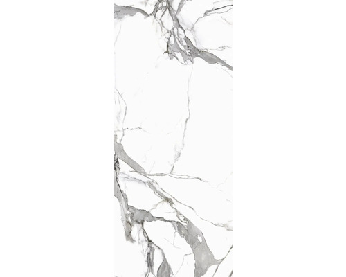 Carreau de marbre avec veinures grises