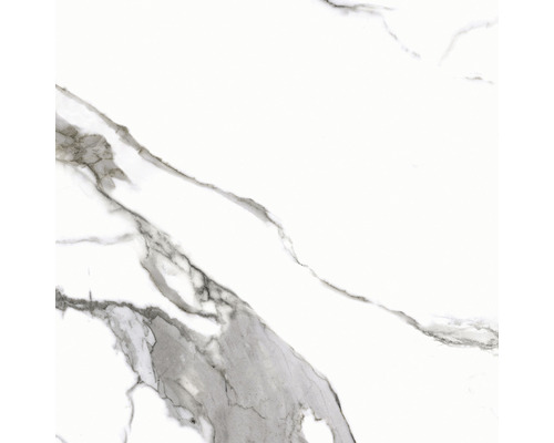 Carrelage sol et mur en grès cérame fin Calacatta 59,7 x 59,7 cm white poli