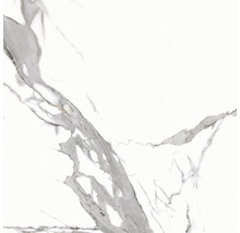 Feinsteinzeug Wand- und Bodenfliese Calacatta 59,7 x 59,7 cm white poliert