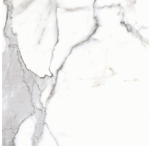 Feinsteinzeug Wand- und Bodenfliese Calacatta 59,7 x 59,7 cm white poliert