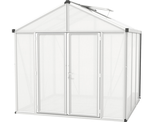 Serre de jardin avec double porte et fenêtre de toit