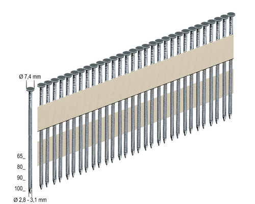 Clous à tête ronde Prebena RKP31/80BKRI 2000 pièces Clous en bande avec diamètre de tête de 7,4 mm et diamètre de 2,8 à 3,1 mm