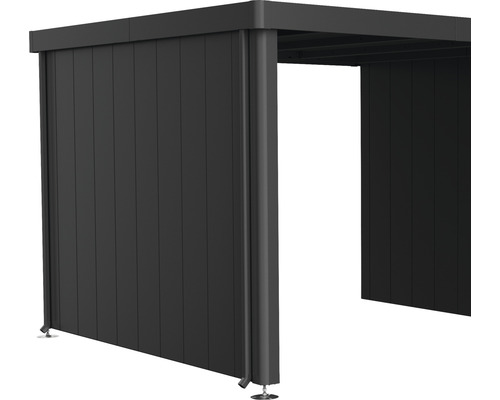 Paroi latérale toit latéral biohort pour abri de jardin Neo 3A/3B/3C/3D gris foncé Paroi latérale toit latéral biohort pour abri de jardin Neo 3A/3B/3C/3D gris foncé