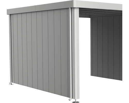 Paroi latérale toit latéral biohort pour abri de jardin Neo 4A/4B/4C/4D argent Paroi latérale toit latéral biohort pour abri de jardin Neo 4A/4B/4C/4D argent