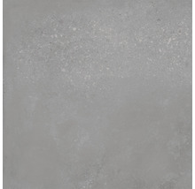 Carreau en grès cérame gris avec surface mate.