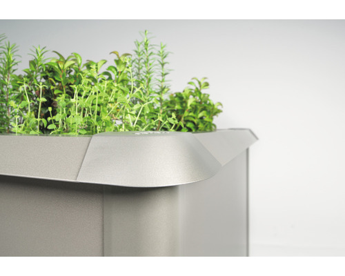 Detailansicht eines Kräuterhochbeets mit verschiedenen Kräutern