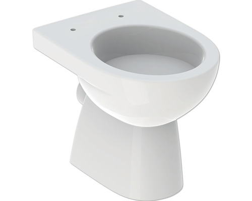 WC à poser GEBERIT Renova cuvette à fond creux avec bride de rinçage blanc sans abattant WC 500810012