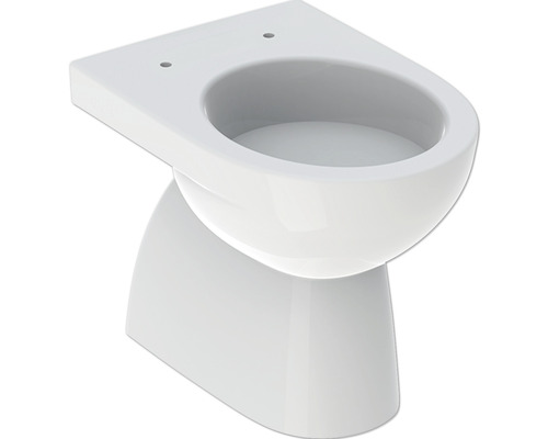 WC à poser GEBERIT Renova cuvette à fond creux avec bride de rinçage blanc sans abattant WC 500811012