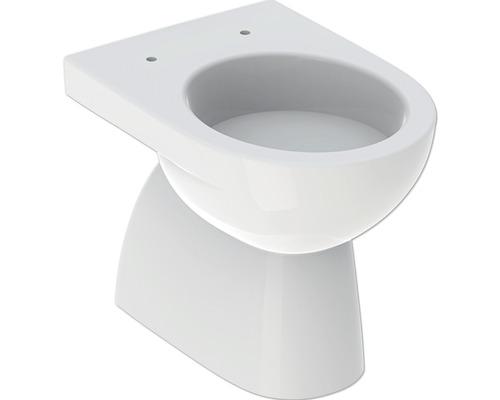 Cuvette WC suspendue RENOVA à fond creux 48cm - GEBERIT- 203245000