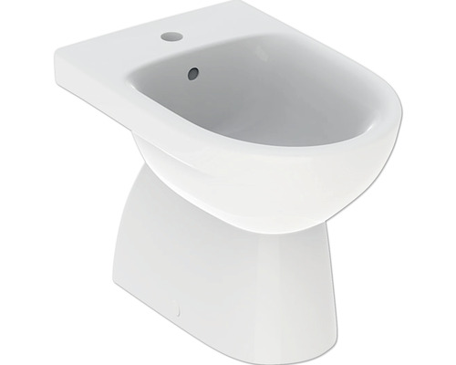 Bidet GEBERIT Renova à poser blanc avec revêtement 500812018