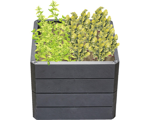 Hochbeet aus Holz mit Kräutern und Gemüse