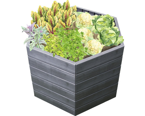 Hochbeet mit Gemüse und Kräutern bepflanzt