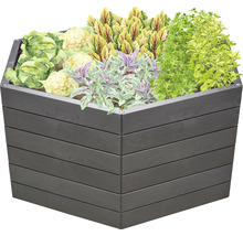 Carré potager classique GARANTIA ERGO carré potager XL 75 avec système d'économie d'eau Flora 145 x 145 x 75 cm stone