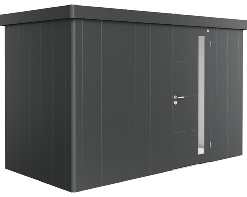 Abri de jardin biohort Neo 1D porte standard 347,5 x 179,5 cm gris foncé métallique