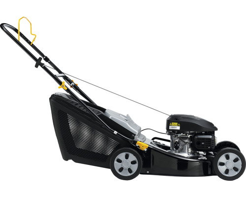 Benzinrasenmäher mit Fangkorb
