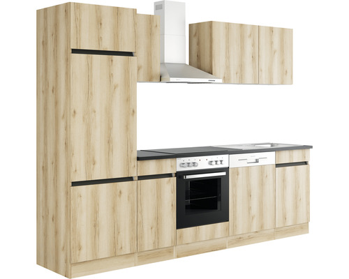 Cuisine équipée avec armoires encastrées, évier, cuisinière et hotte aspirante