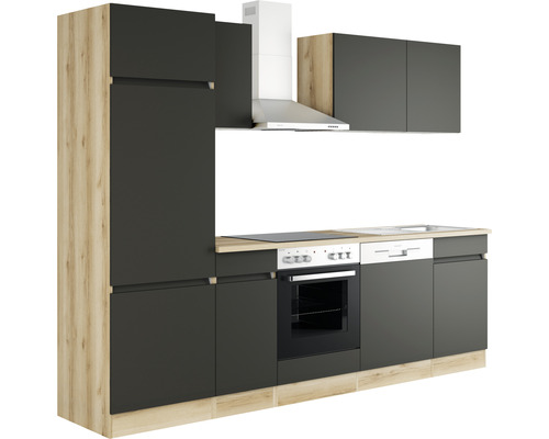 Cuisine complète avec appareils intégrés, évier, plaque de cuisson et hotte aspirante.