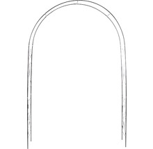 Arche à roses en métal pour le jardin