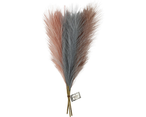 Bouquets décoratifs d''herbe aux plumes pour l''intérieur