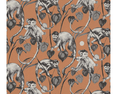 Papier peint intissé 37982-4 Michalsky 4 - Change is good singe jungle gris orange