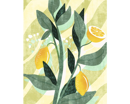 Papier peint panoramique intissé LJX4-015 Le Jardin Lemon Fresh 4 pces 200 x 250 cm Illustration d''un citronnier avec des feuilles et des fruits