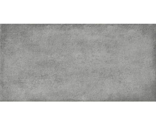 Wand- und Bodenfliese Dance grau 29,8x59,8 cm