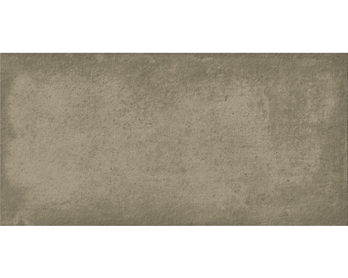 Wand- und Bodenfliese Shadow taupe 29,8x59,8 cm