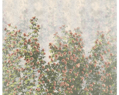 Papier peint panoramique intissé LJX6-038 Le Jardin Wall Roses 6 pces 300 x 250 cm Papier peint avec motif de roses